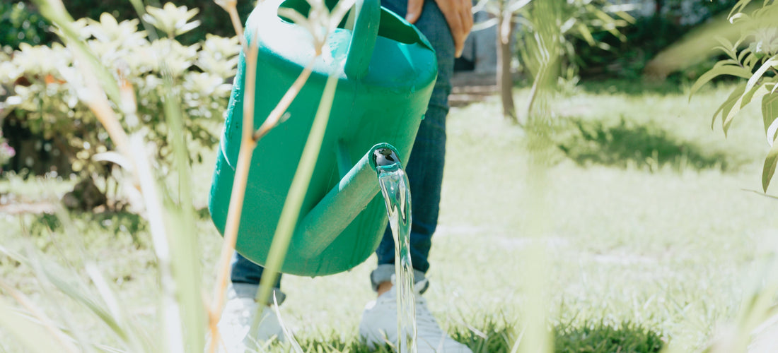 Home sitting & property care services