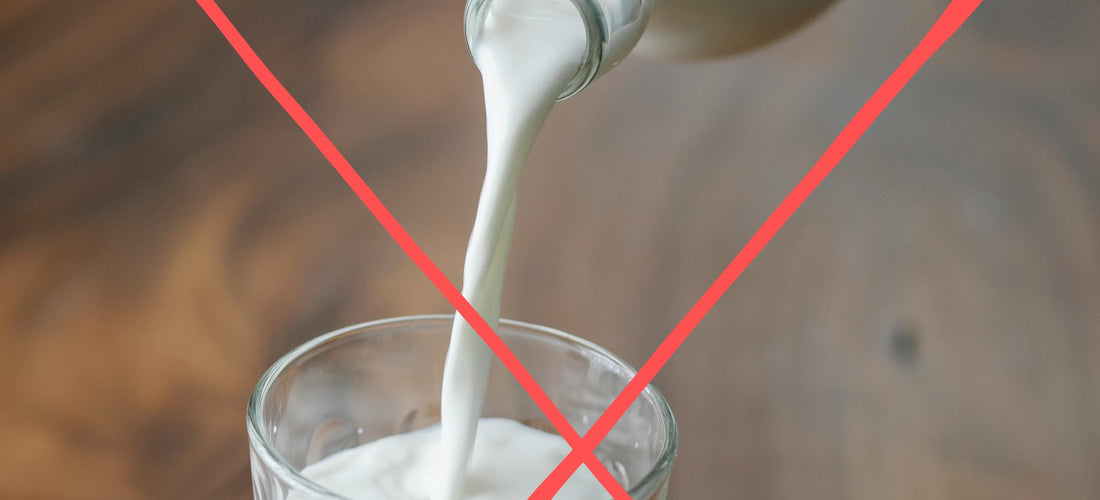 No cow milk for dogs and cats