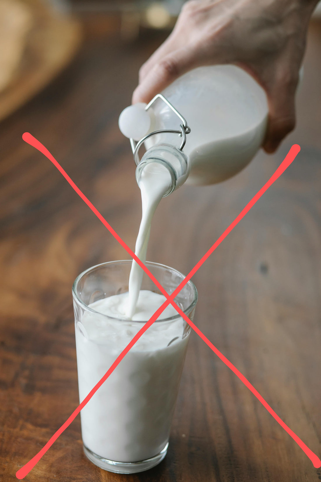 No cow milk for dogs and cats